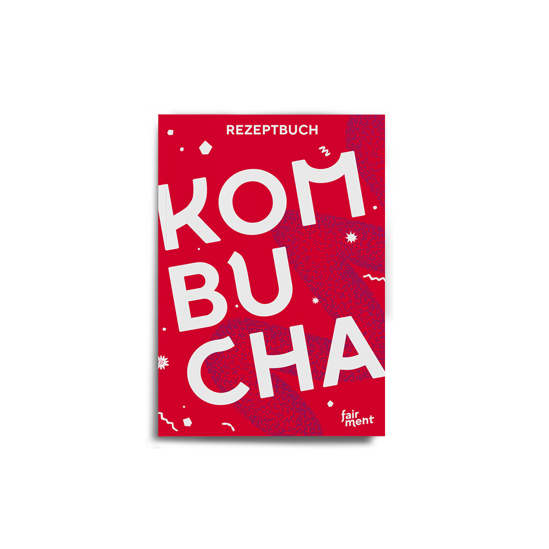 Kombucha Rezept Buch: Anleitung für 28 Kreationen (E-Book)
