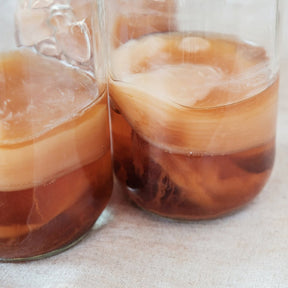 Kombucha, Kombucha Pilz, Scoby, Teepilz, Kombucha Kultur, Scoby kaufen, Kombucha Teepilz, Starterflüssigkeit, fermentiert, fermentation, fairment