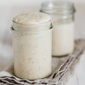 Bio Sauerteig Starter glutenfrei (150g)