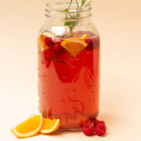 Kombucha Starter Kit - Bio Kombucha selber machen